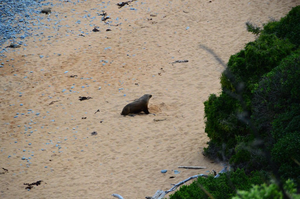 DSC_5464.bmp