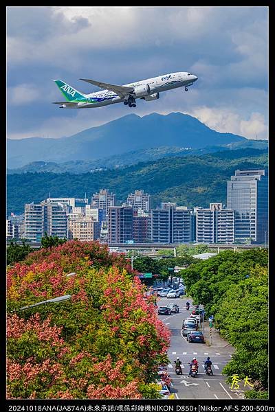 _DSC5682-fix2.jpg