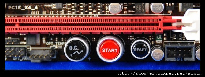 nEO_IMG_DSC_9721.jpg