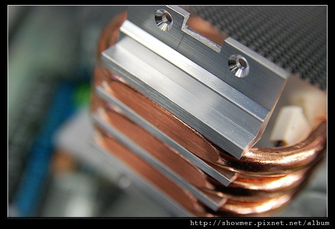 nEO_IMG_DSC_2866