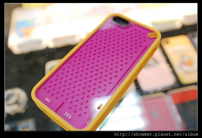 showmerDSC_8070