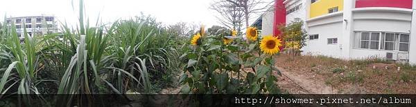 IMG_20140321_103259.jpg