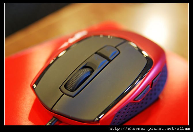 nEO_IMG_DSC_8255.jpg