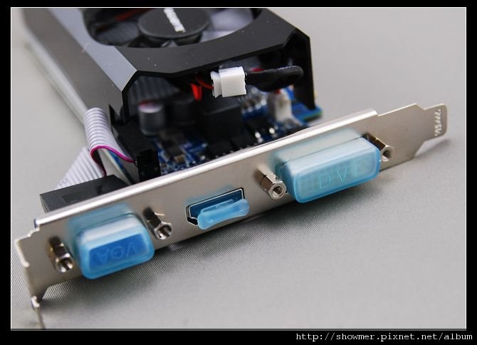 nEO_IMG_DSC_6499.jpg