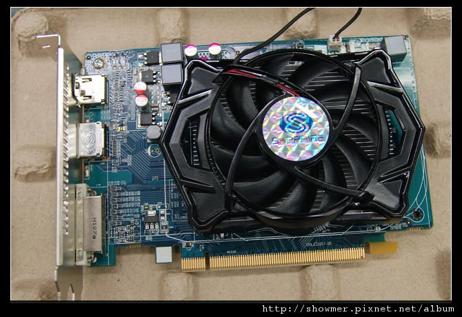 nEO_IMG_DSC_8875.jpg