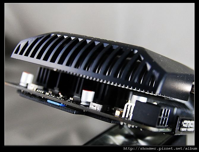 nEO_IMG_DSC_5591.jpg