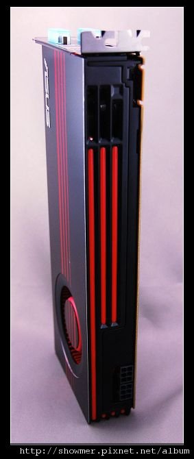 nEO_IMG_DSC_6491.jpg