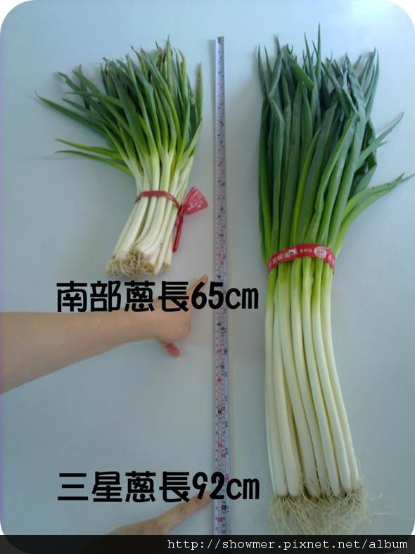 圖片1.jpg
