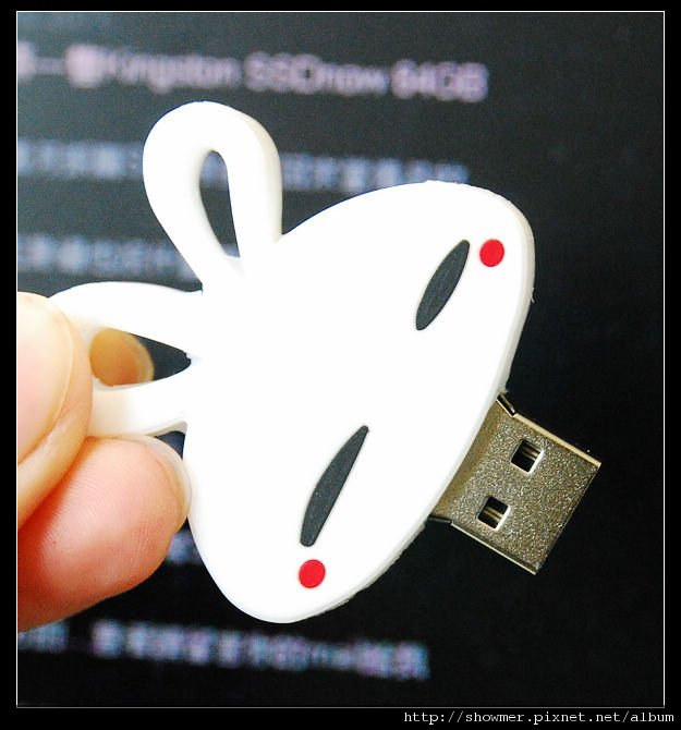 nEO_IMG_DSC_7466.jpg