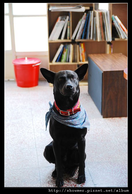 nEO_IMG_DSC_8281.jpg