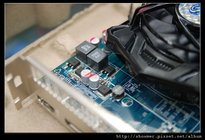 nEO_IMG_DSC_8876.jpg
