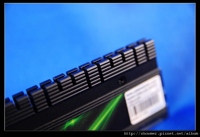 nEO_IMG_DSC_6891.jpg