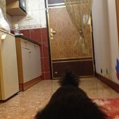 IMG_2397