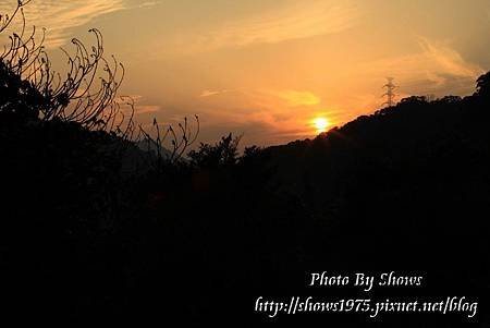 PhotoCap_013.jpg