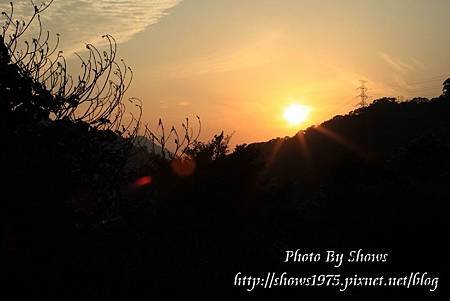 PhotoCap_012.jpg