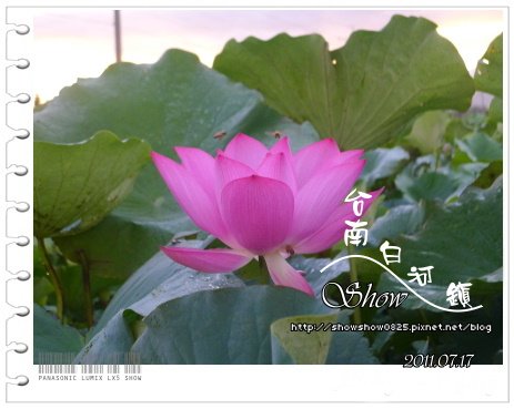 未命名 - 72.jpg