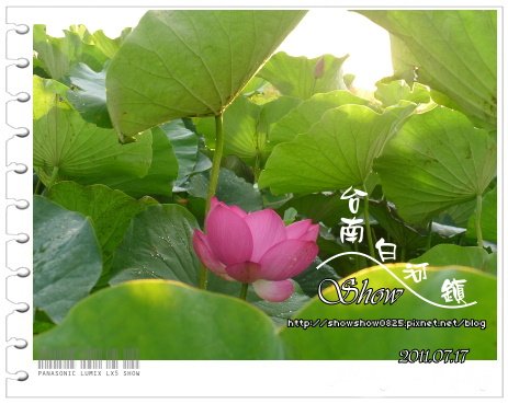 未命名 - 82.jpg