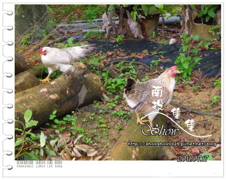 未命名 - 319.jpg