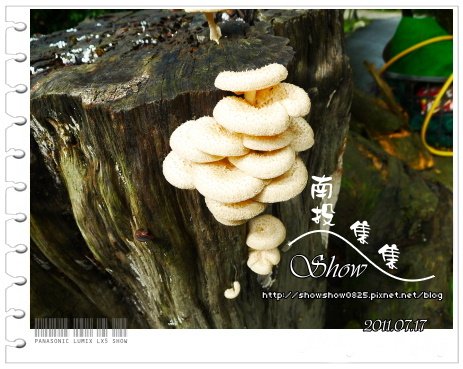 未命名 - 327.jpg
