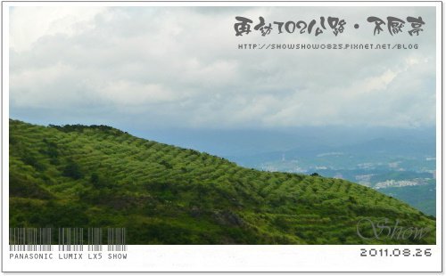 未命名 - 10.jpg