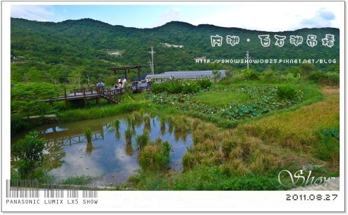 未命名 - 55.jpg