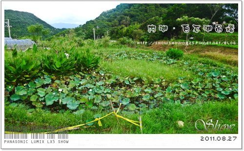 未命名 - 57.jpg