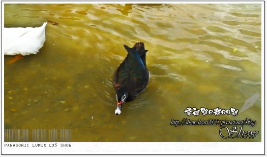 未命名 - 18.jpg