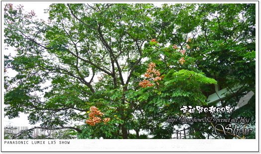 未命名 - 28.jpg