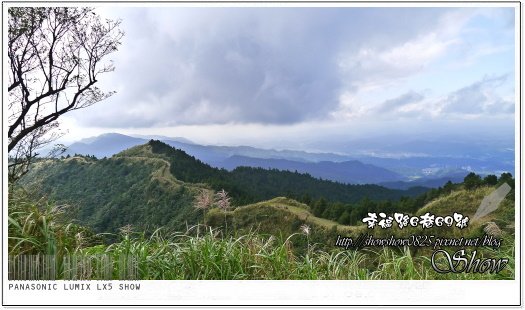 未命名 - 78.jpg