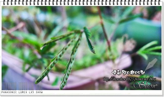 未命名 - 36.jpg