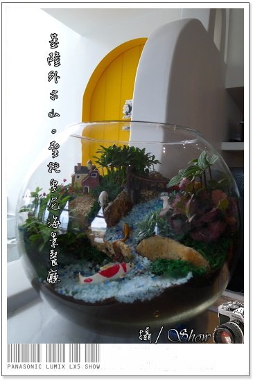 未命名 - 90.jpg