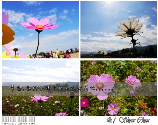 未命名 - 35.jpg