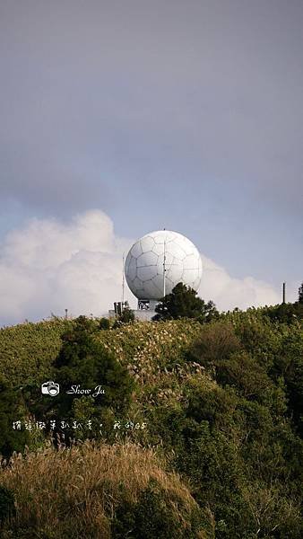 P1120614.JPG