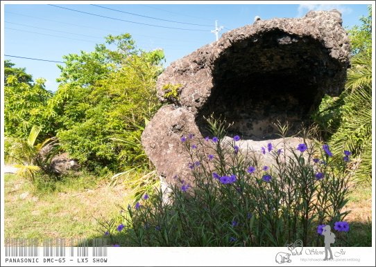 未命名 - 66.jpg
