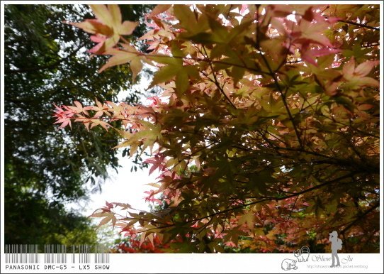 未命名 - 30.jpg