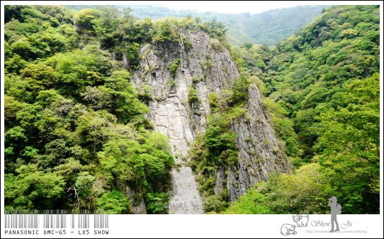 未命名 - 7.jpg
