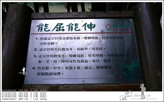 未命名 - 32.jpg