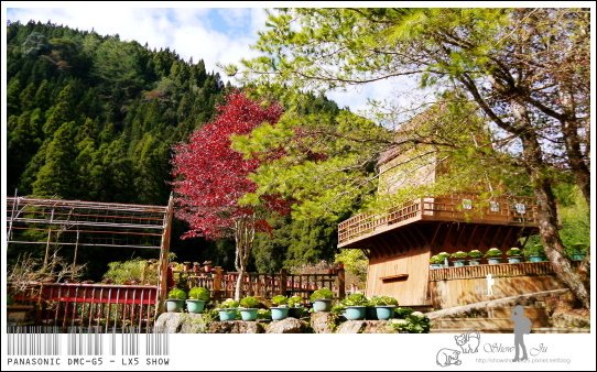 未命名 - 97.jpg