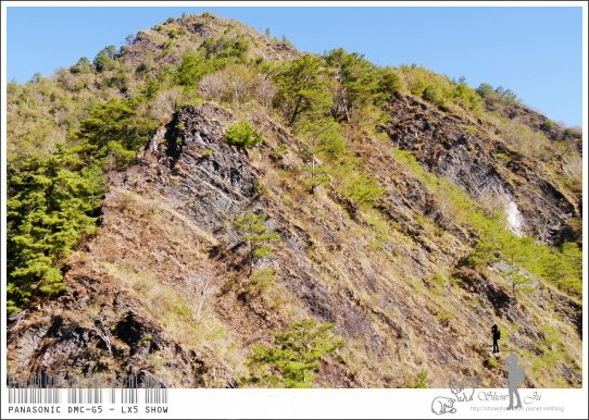 未命名 - 80.jpg