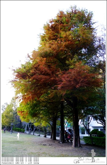 未命名 - 12.jpg