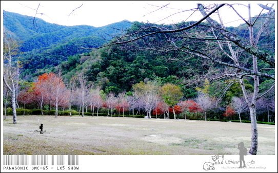 未命名 - 24.jpg