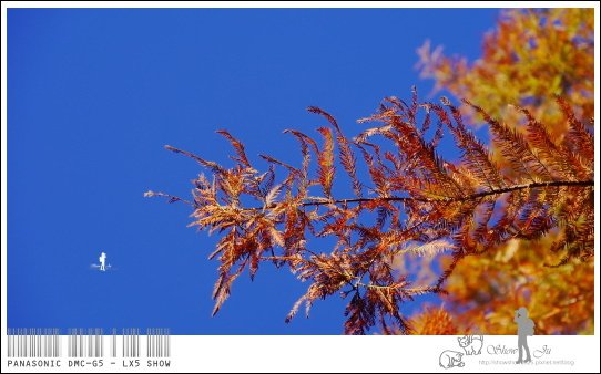 未命名 - 32.jpg
