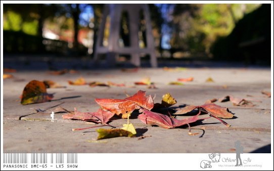 未命名 - 34.jpg