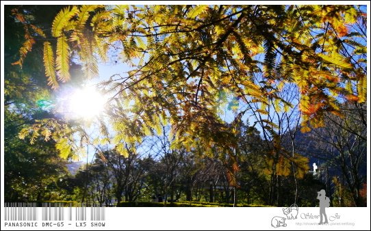 未命名 - 37.jpg