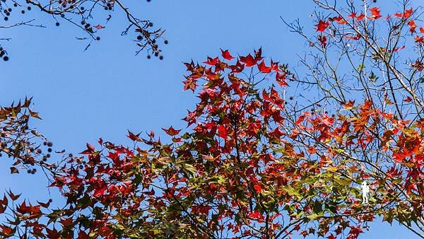 P1220189_副本.jpg
