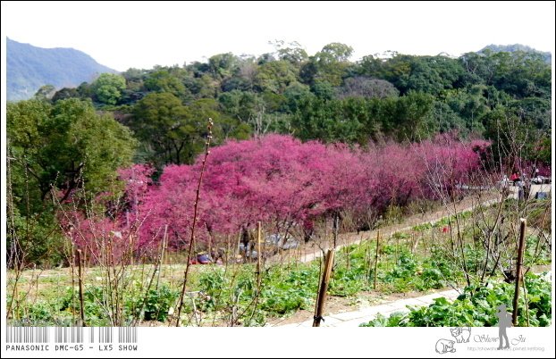 未命名 - 95.jpg