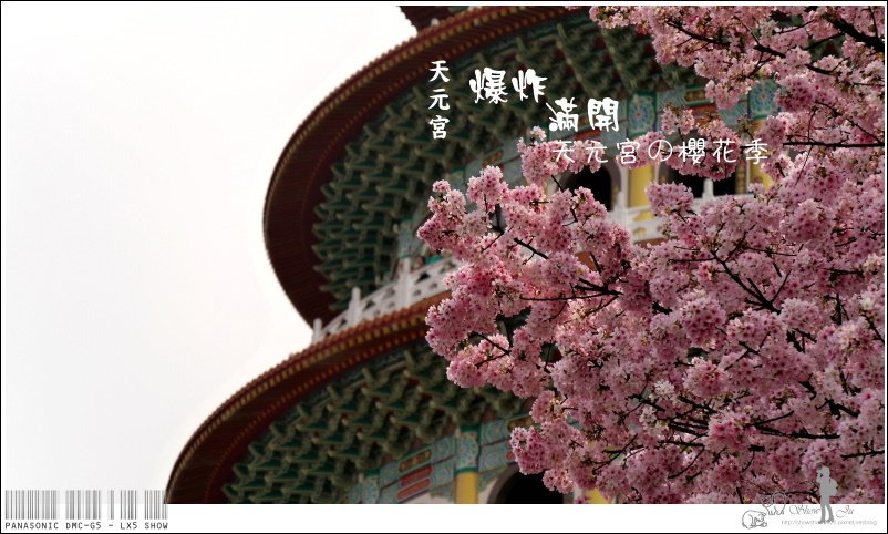 未命名 - 23.jpg