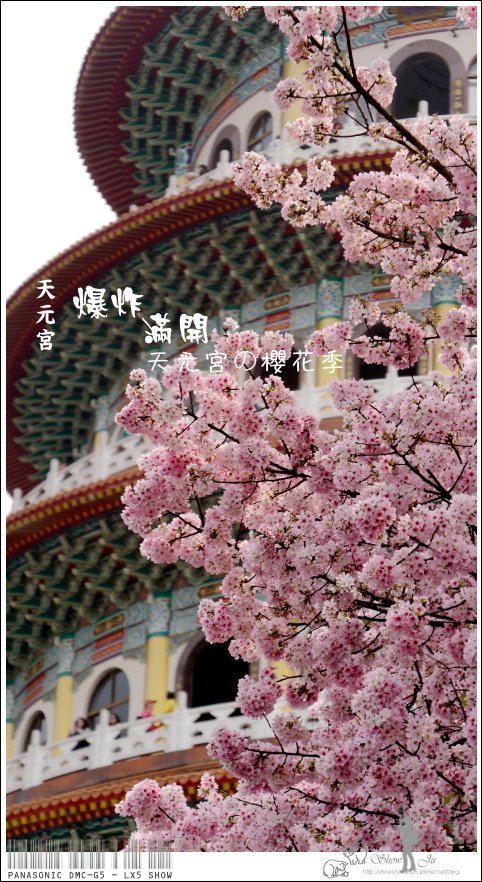 未命名 - 24.jpg