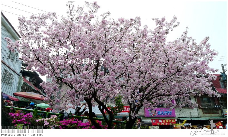 未命名 - 67.jpg