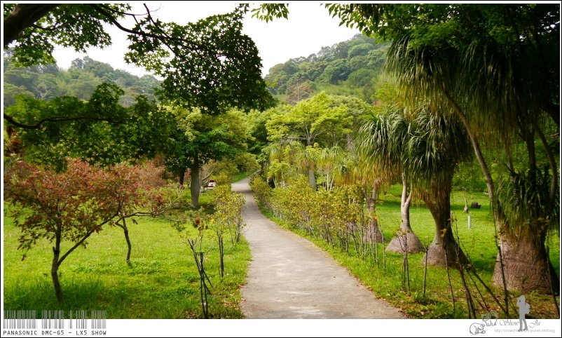 未命名 - 205.jpg